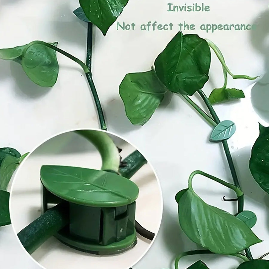 Plant Climbing Wall Clips – Self-Adhesive Invisible Support | Indo Glow