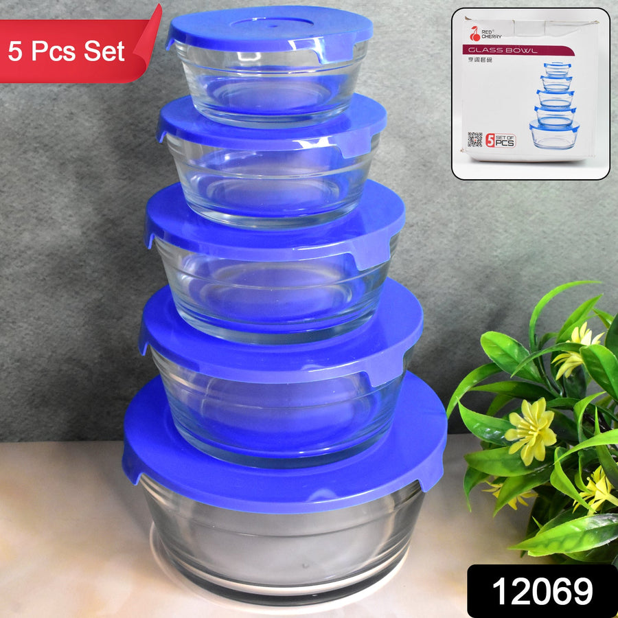 Glass Bowl Set – 5-Piece Modern Storage | Organivo