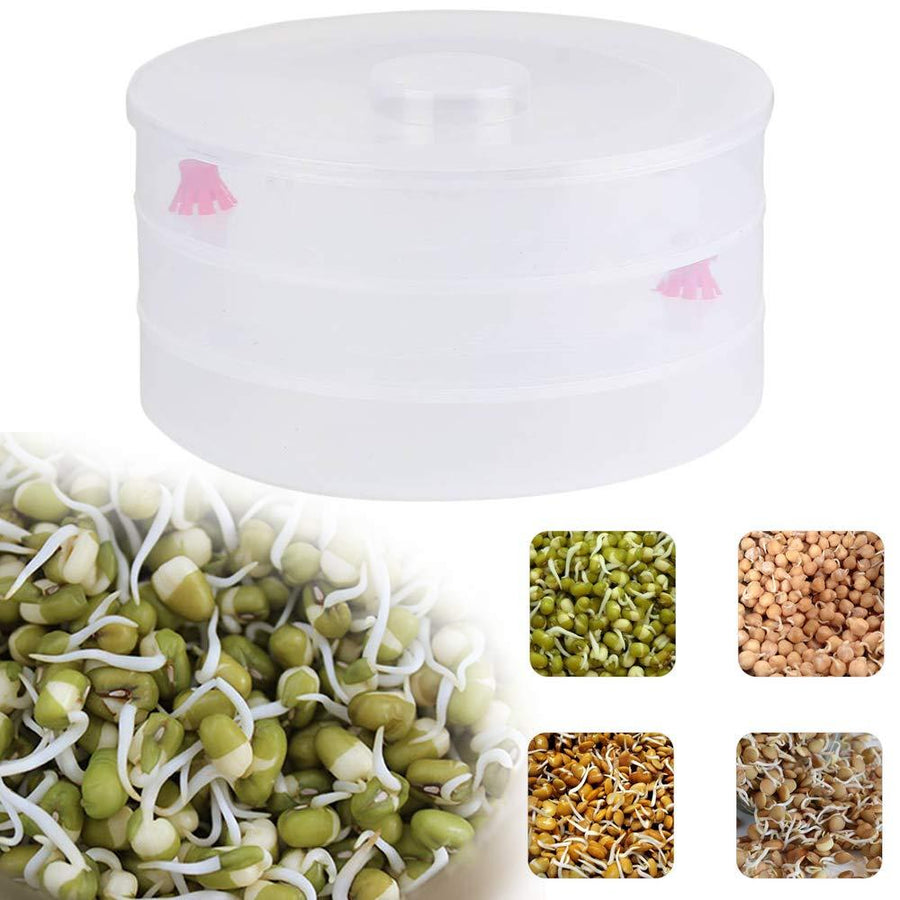 3 Compartment Sprout Maker – Hygienic & Healthy | Tidy Table