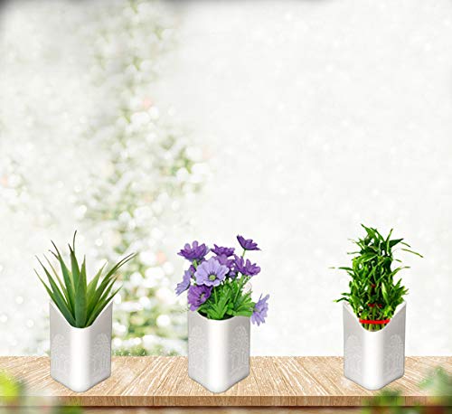 Hanging Planter Pot – Multicolour Vertical Garden | Gambit