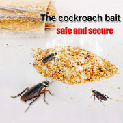 Three brown cockroaches are near a pile of light brown bait powder, with two packets of bait visible in the background.