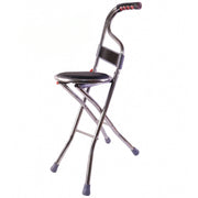Portable walking stick with fold out seat and back support