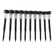 Solar lights glowing night garden